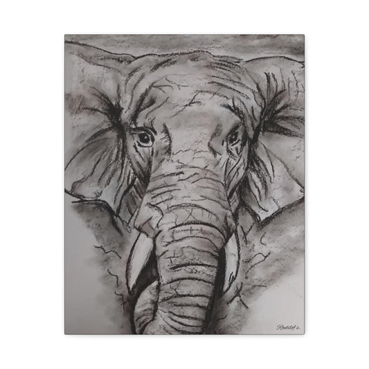 toile éléphant 40x50cm